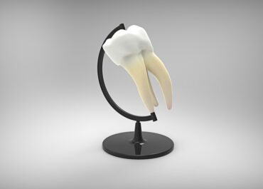 Mở Khóa Bình An: Cách Phong Thủy Có Thể Cải Thiện Không Gian Sống Của Bạn