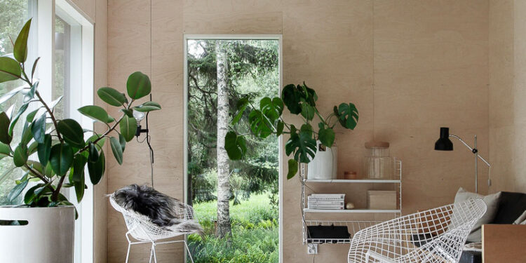 Cải Thiện Không Gian: 10 Mẹo Phong Thủy Giúp Ngôi Nhà Tràn Đầy Hạnh Phúc